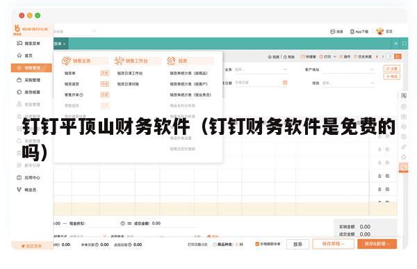 钉钉平顶山财务软件（钉钉财务软件是免费的吗）