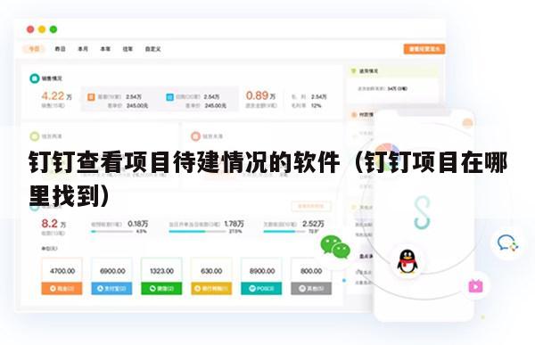 钉钉查看项目待建情况的软件（钉钉项目在哪里找到）