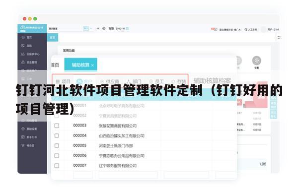 钉钉河北软件项目管理软件定制（钉钉好用的项目管理）