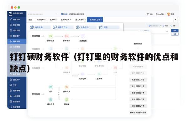 钉钉硕财务软件（钉钉里的财务软件的优点和缺点）