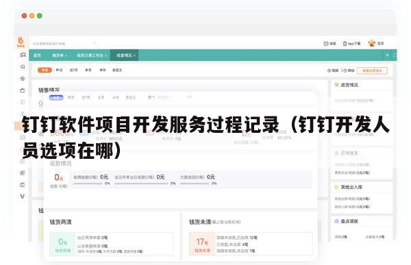 钉钉软件项目开发服务过程记录（钉钉开发人员选项在哪）
