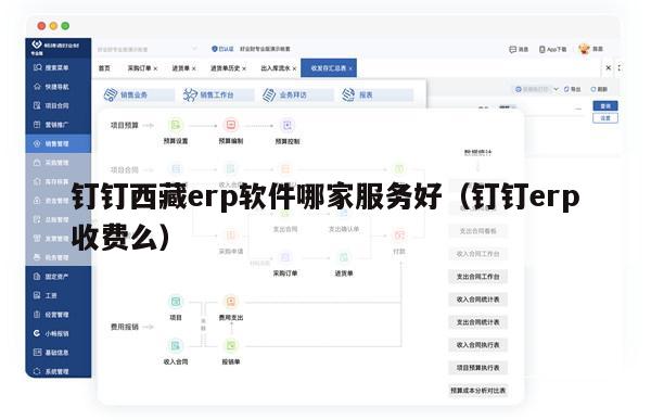 钉钉西藏erp软件哪家服务好（钉钉erp收费么）