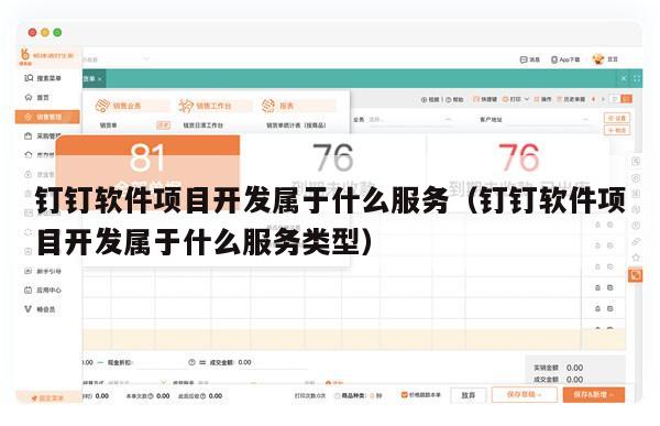 钉钉软件项目开发属于什么服务（钉钉软件项目开发属于什么服务类型）