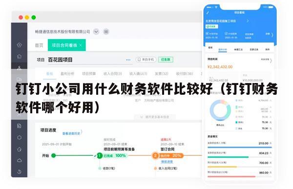钉钉小公司用什么财务软件比较好（钉钉财务软件哪个好用）