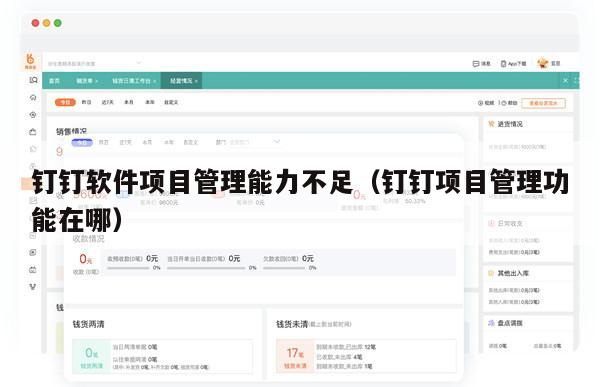钉钉软件项目管理能力不足（钉钉项目管理功能在哪）