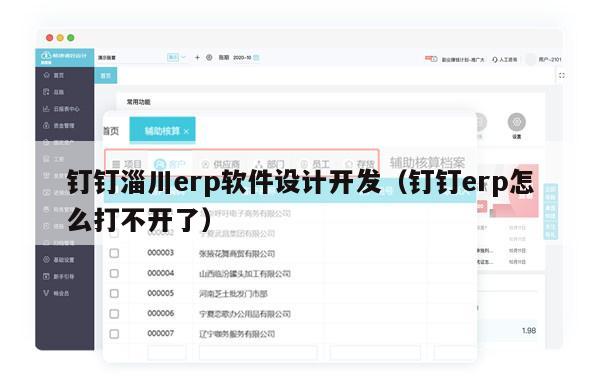 钉钉淄川erp软件设计开发（钉钉erp怎么打不开了）