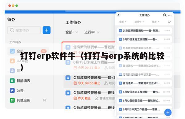 钉钉erp软件牛（钉钉与erp系统的比较）