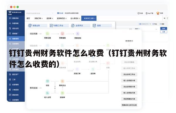 钉钉贵州财务软件怎么收费（钉钉贵州财务软件怎么收费的）