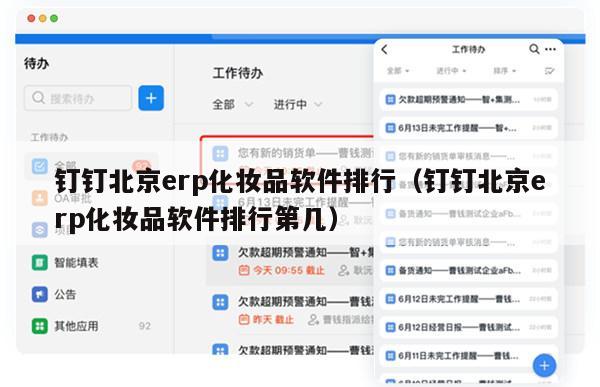 钉钉北京erp化妆品软件排行（钉钉北京erp化妆品软件排行第几）