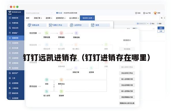 钉钉远凯进销存（钉钉进销存在哪里）