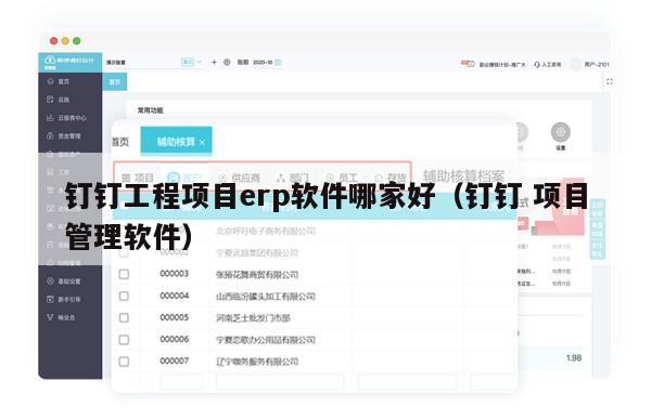 钉钉工程项目erp软件哪家好（钉钉 项目管理软件）