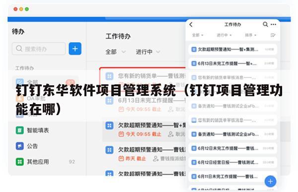 钉钉东华软件项目管理系统（钉钉项目管理功能在哪）