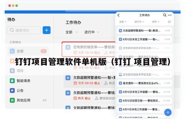 钉钉项目管理软件单机版（钉钉 项目管理）