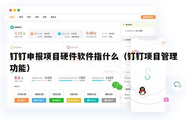 钉钉申报项目硬件软件指什么（钉钉项目管理功能）
