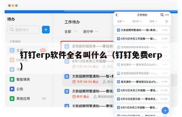 钉钉erp软件全名叫什么（钉钉免费erp）