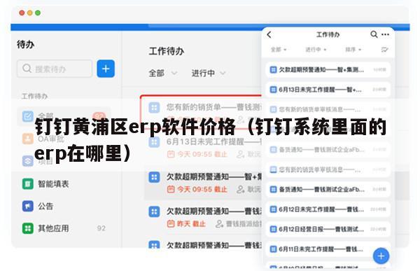 钉钉黄浦区erp软件价格（钉钉系统里面的erp在哪里）