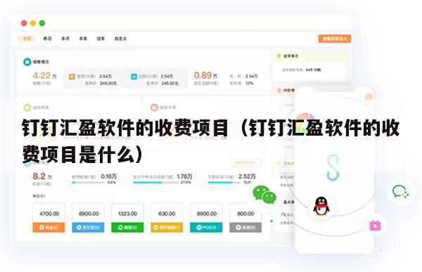 钉钉汇盈软件的收费项目（钉钉汇盈软件的收费项目是什么）