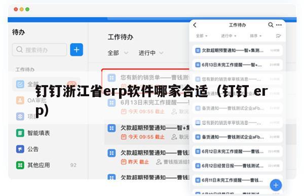 钉钉浙江省erp软件哪家合适（钉钉 erp）