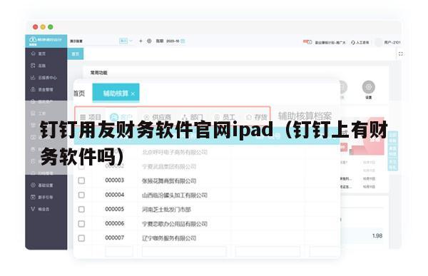 钉钉用友财务软件官网ipad（钉钉上有财务软件吗）