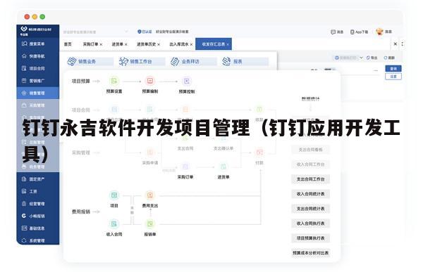 钉钉永吉软件开发项目管理（钉钉应用开发工具）