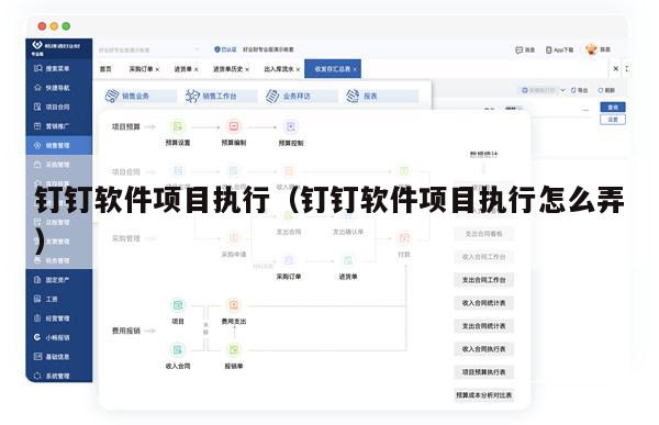钉钉软件项目执行（钉钉软件项目执行怎么弄）