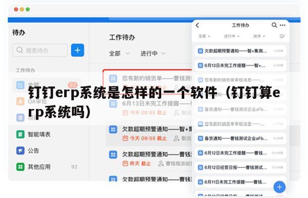 钉钉erp系统是怎样的一个软件（钉钉算erp系统吗）