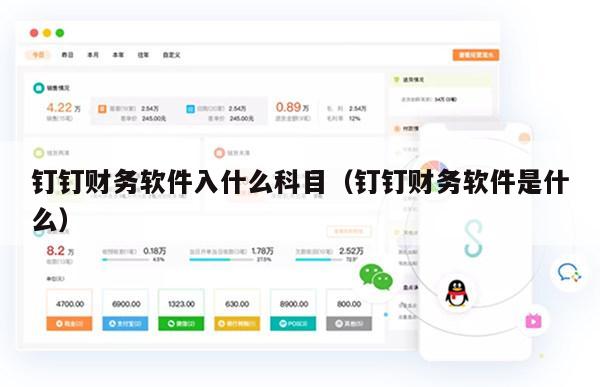 钉钉财务软件入什么科目（钉钉财务软件是什么）
