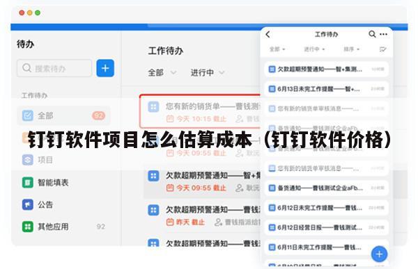 钉钉软件项目怎么估算成本（钉钉软件价格）