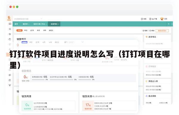 钉钉软件项目进度说明怎么写（钉钉项目在哪里）