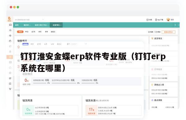 钉钉淮安金蝶erp软件专业版（钉钉erp系统在哪里）