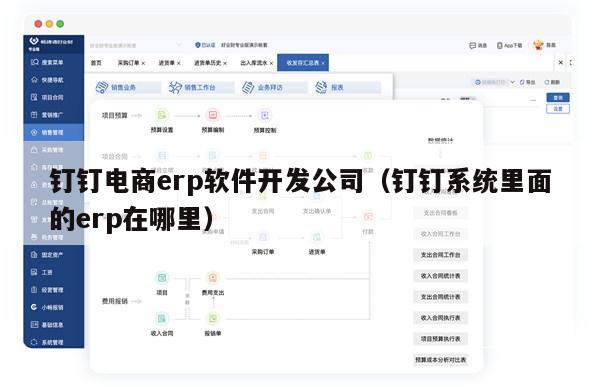 钉钉电商erp软件开发公司（钉钉系统里面的erp在哪里）