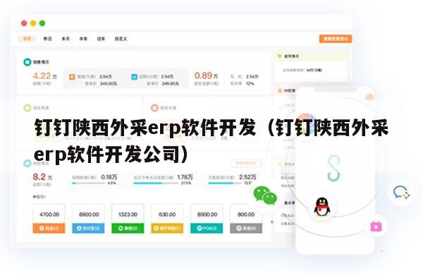 钉钉陕西外采erp软件开发（钉钉陕西外采erp软件开发公司）