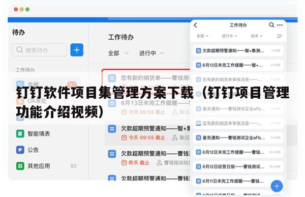 钉钉软件项目集管理方案下载（钉钉项目管理功能介绍视频）