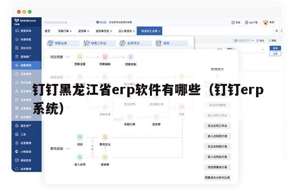 钉钉黑龙江省erp软件有哪些（钉钉erp系统）