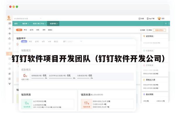 钉钉软件项目开发团队（钉钉软件开发公司）
