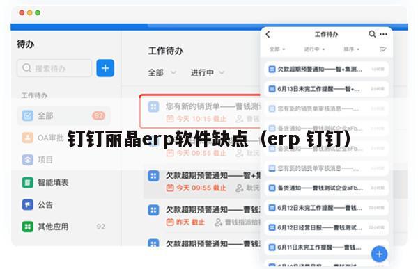 钉钉丽晶erp软件缺点（erp 钉钉）