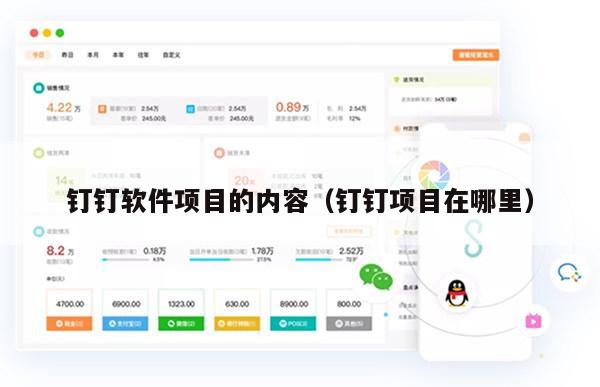 钉钉软件项目的内容（钉钉项目在哪里）