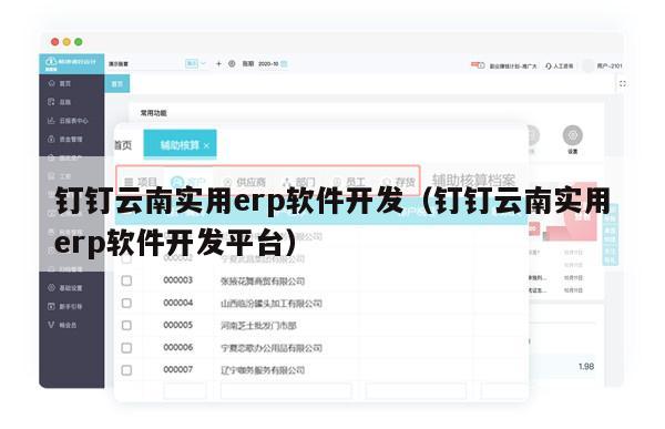 钉钉云南实用erp软件开发（钉钉云南实用erp软件开发平台）