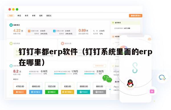 钉钉丰都erp软件（钉钉系统里面的erp在哪里）
