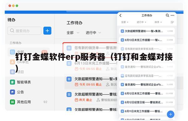钉钉金蝶软件erp服务器（钉钉和金蝶对接）