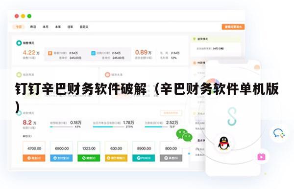 钉钉辛巴财务软件破解（辛巴财务软件单机版）