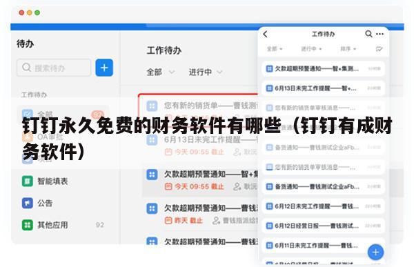 钉钉永久免费的财务软件有哪些（钉钉有成财务软件）