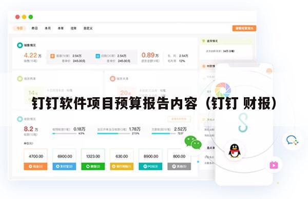钉钉软件项目预算报告内容（钉钉 财报）