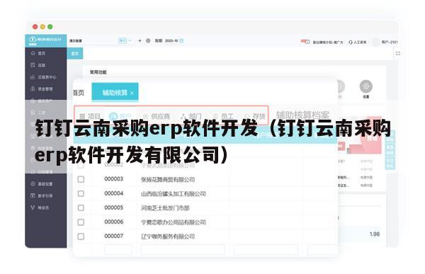 钉钉云南采购erp软件开发（钉钉云南采购erp软件开发有限公司）