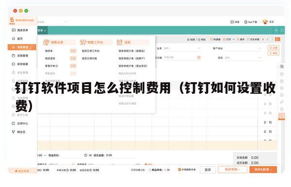 钉钉软件项目怎么控制费用（钉钉如何设置收费）