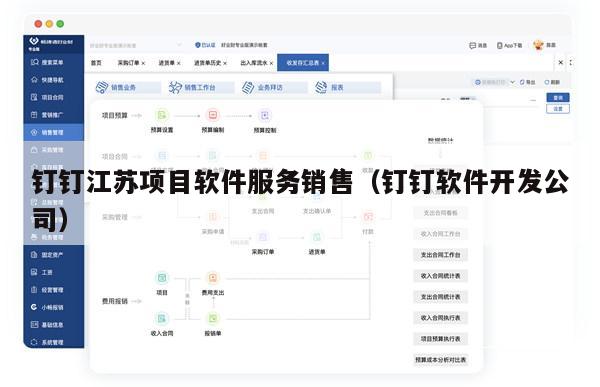 钉钉江苏项目软件服务销售（钉钉软件开发公司）