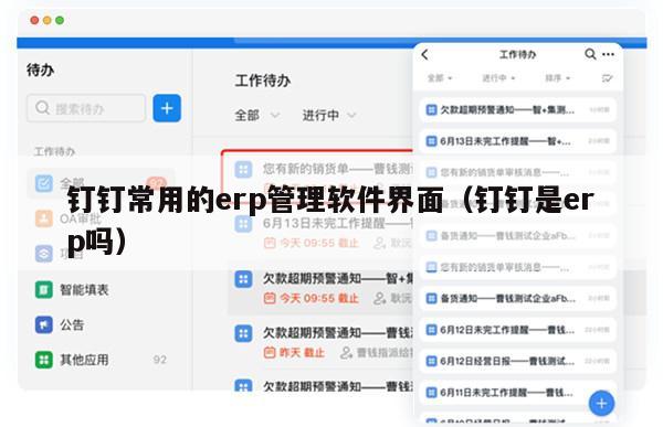 钉钉常用的erp管理软件界面（钉钉是erp吗）