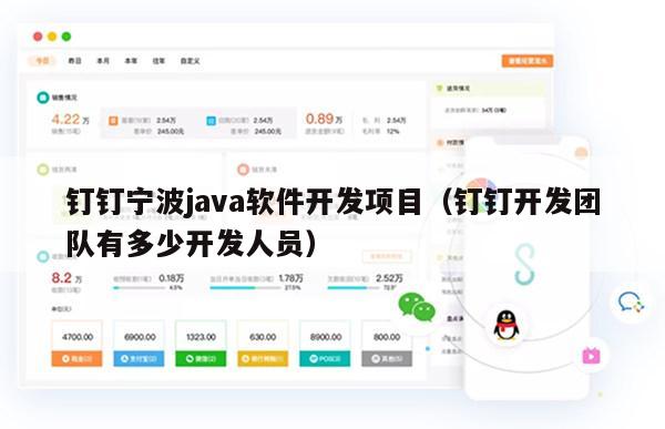 钉钉宁波java软件开发项目（钉钉开发团队有多少开发人员）