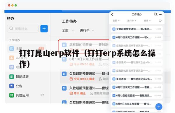 钉钉昆山erp软件（钉钉erp系统怎么操作）