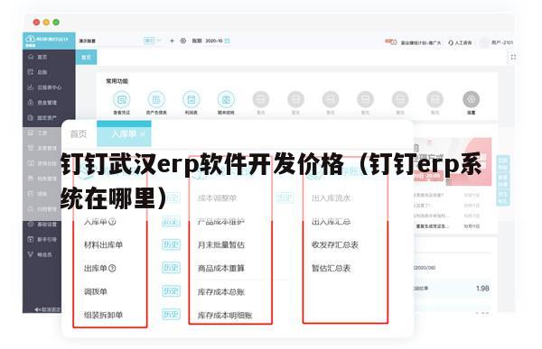 钉钉武汉erp软件开发价格（钉钉erp系统在哪里）